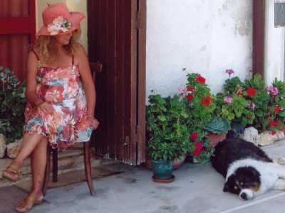 Persino un cane di San Bernardo, conosciuto a Mola come �Beethoven�, gemello della star televisiva, amava stendersi accanto alla sontuosa vegetazione per  rifugiarsi dal caldo